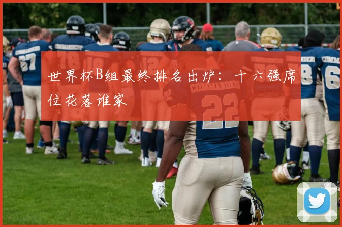 世界杯B组最终排名出炉：十六强席位花落谁家
